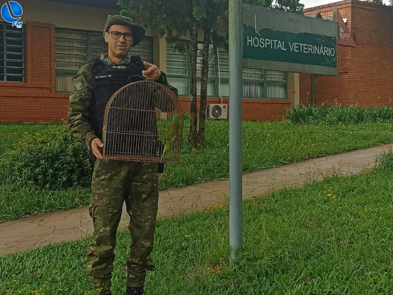 Polícia ambiental resgata ave silvestre Lagoa Fm A Primeira FM de