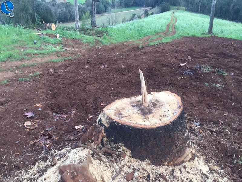 PATRAM de São José do Ouro atende crime contra flora no interior de Sananduva