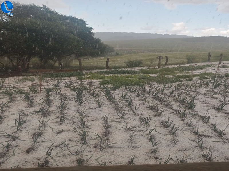 Chuva de granizo castiga propriedades rurais da região