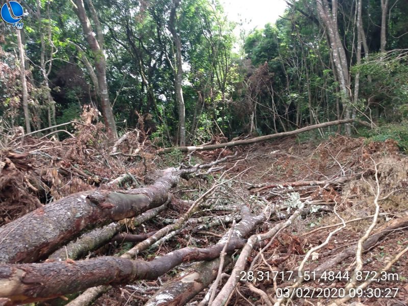 Polícia Ambiental localiza mais de 10 hectares de desmatamento no interior de Lagoa Vermelha