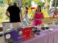 Imagem 11 da galeria