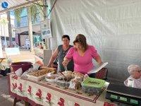 Imagem 12 da galeria