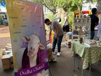 Imagem 13 da galeria