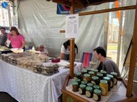 Imagem 14 da galeria