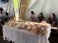 Imagem 15 da galeria