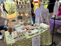 Imagem 16 da galeria