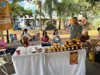 Imagem 21 da galeria