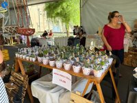 Imagem 23 da galeria