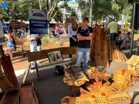 Imagem 24 da galeria