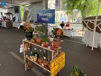 Imagem 26 da galeria