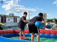 Imagem 31 da galeria