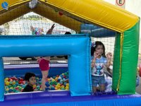 Imagem 32 da galeria