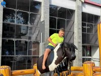 Imagem 33 da galeria