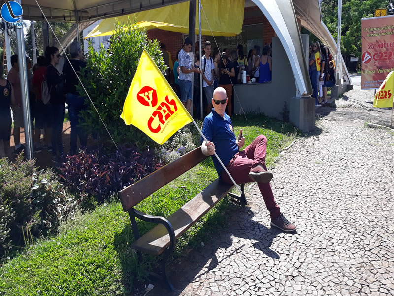 Imagem 3 da galeria