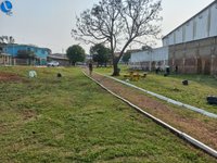 Imagem 10 da galeria