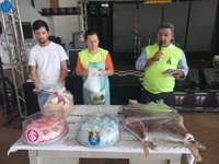 Imagem 10 da galeria