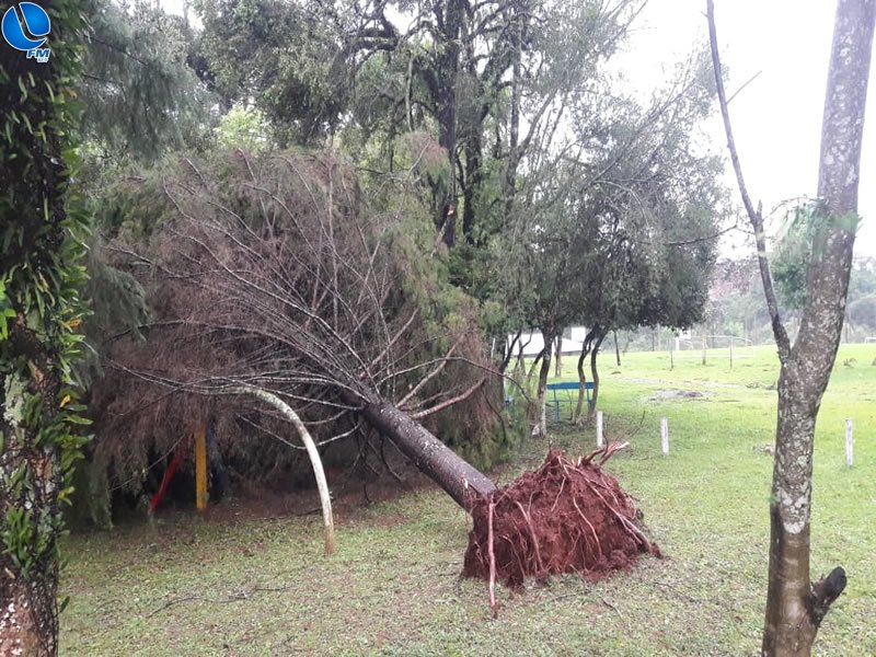 Major Sandro da Defesa Civil do Estado se manifesta sobre outro fenômeno da natureza em Lagoa Vermelha