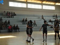 Imagem 10 da galeria