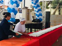 Imagem 10 da galeria