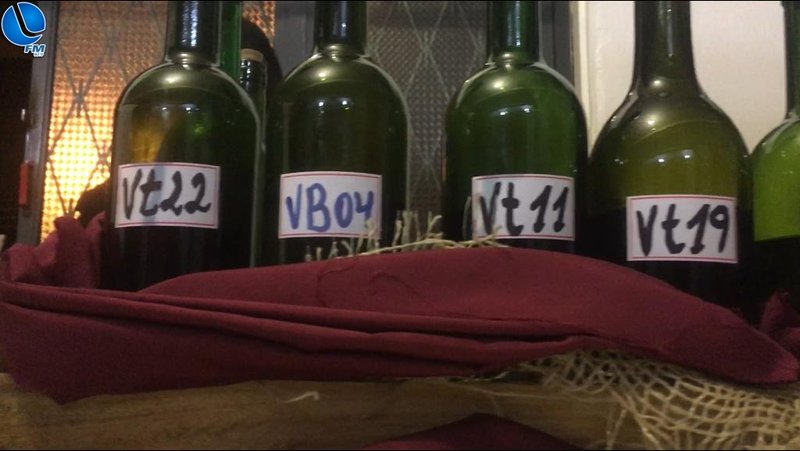 Primeira Mostra Municipal de Vinhos