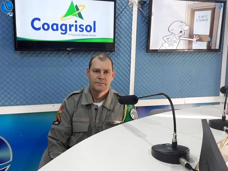 Patram apreende cargas de araucárias, cortadas irregularmente