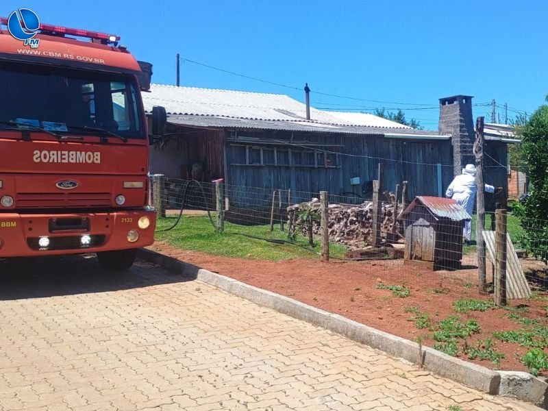 Corpo de Bombeiros atende ocorrências envolvendo abelhas