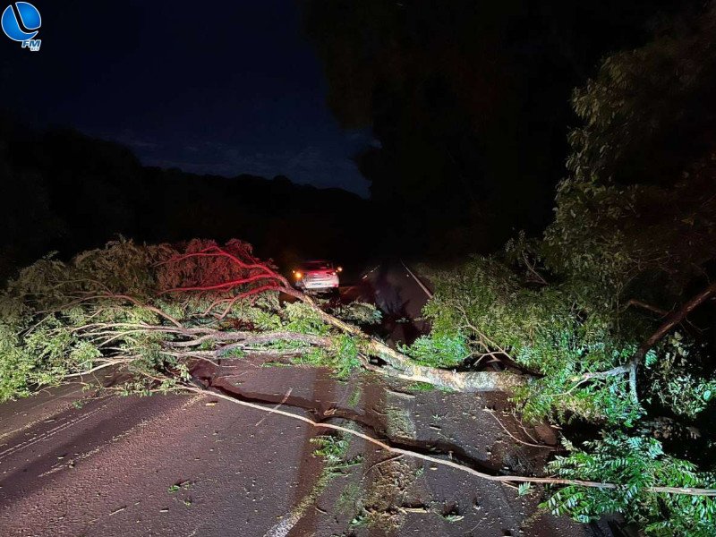 Veículo se choca com árvore caída na ERS 343 em Cacique Doble