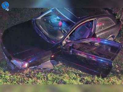 Colisão com animal silvestre deixa passageira ferida na ERS-135