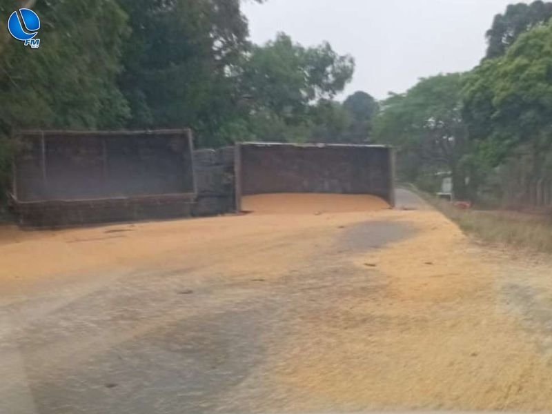Carreta carregada com milho tomba na ERS-324 entre Passo Fundo e Marau