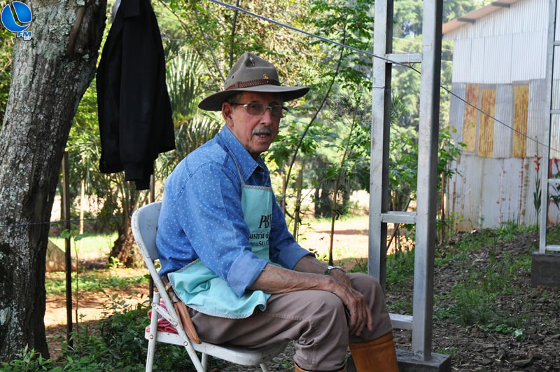 Imagem 7 da galeria