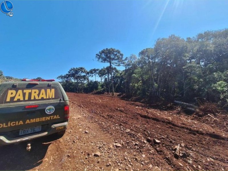 Desmatamento é flagrado em São José do Ouro