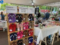 Imagem 10 da galeria