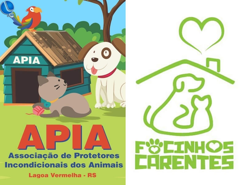 Câmara busca recursos junto ao Carrefour para ONG’s de animais do município
