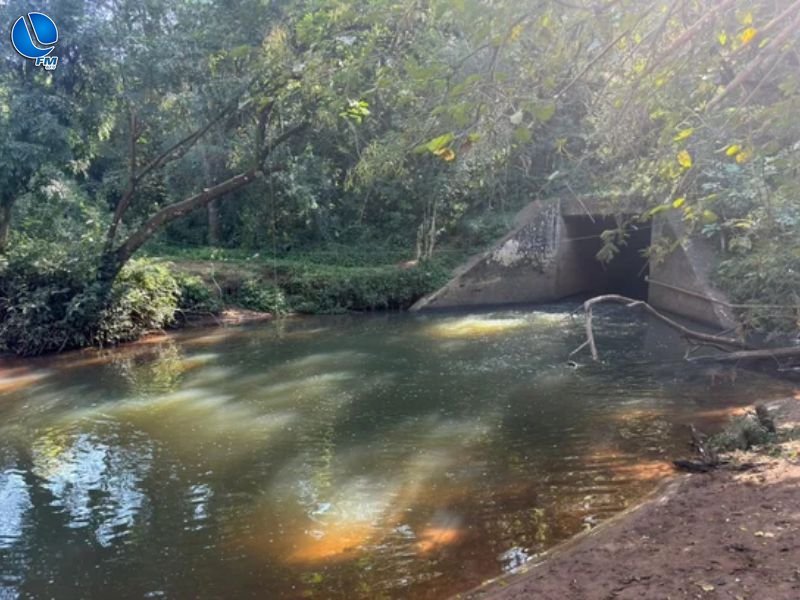 Polícia Ambiental confirma dano ambiental com morte de peixes no Arroio Pinheiro Torto