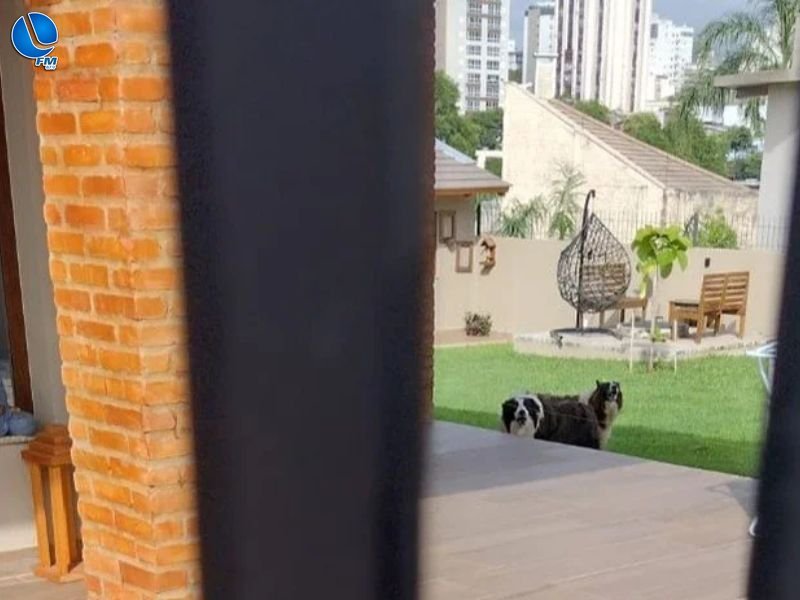 Idosa de 71 anos fica gravemente ferida após ataque de cães em Carazinho