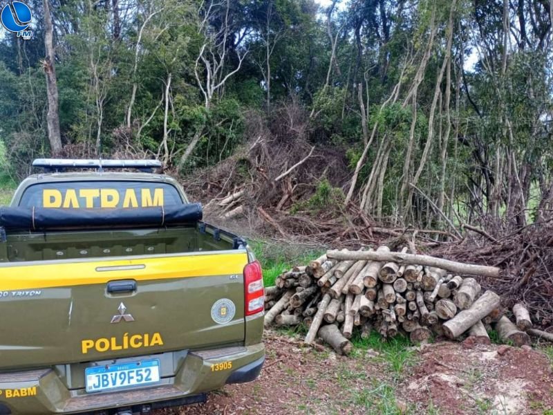 Batalhão Ambiental flagra desmatamento de mais de 2 hectares em Vila Lângaro
