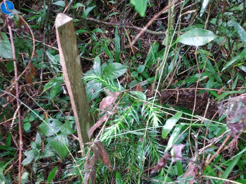 Polícia ambiental fiscaliza projeto de recuperação de área degradada