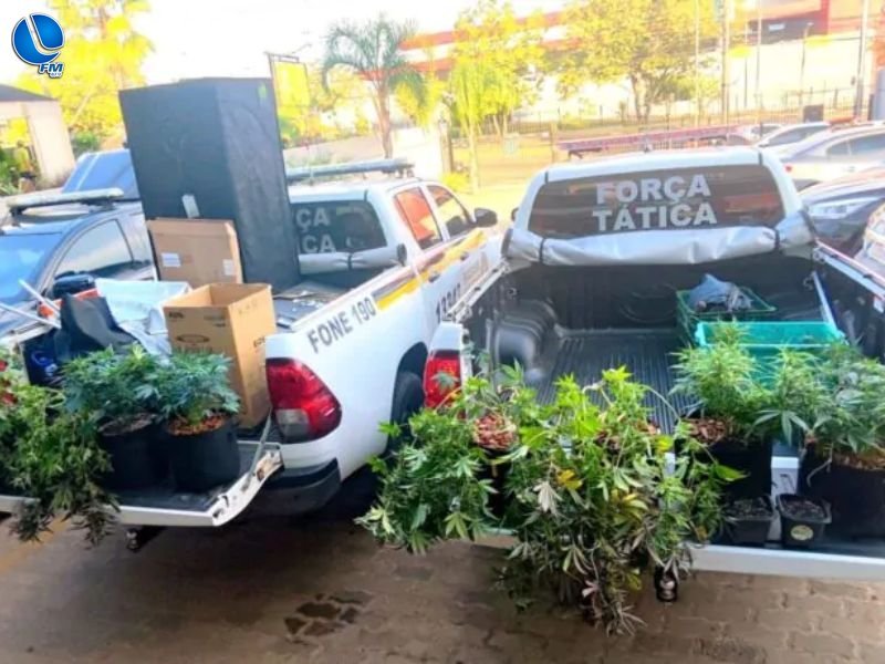 Brigada Militar descobre estufas de cultivo de entorpecentes e prende homem em Passo Fundo