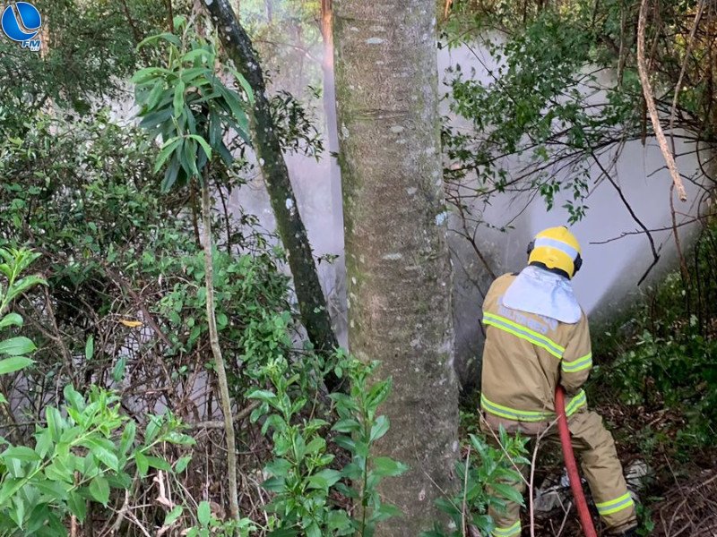 Bombeiros combatem fogo em vegetação, no bairro Gaúcha