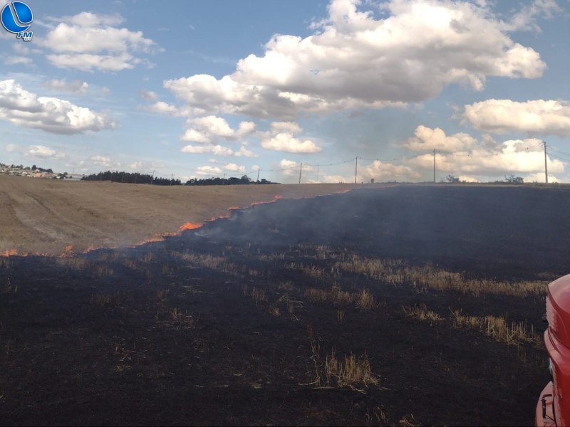 Incêndio em lavoura destrói cerca de 4 hectares