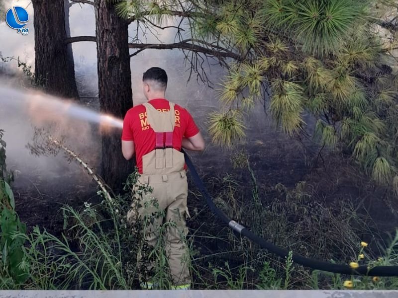 Bombeiros de Lagoa Vermelha combatem incêndio de grandes proporções em lavoura de soja
