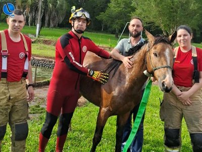 Bombeiros realizam resgate de cavalo que caiu em piscina no interior de Lagoa Vermelha