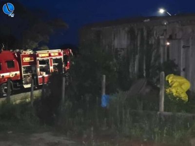 Ataque de abelhas mata cavalo e mobiliza Bombeiros em Gentil