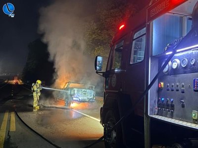Incêndio destrói caminhonete argentina na BR-285 em Lagoa Vermelha
