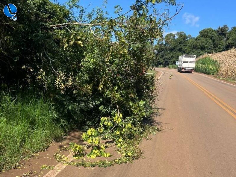 Bombeiros Voluntários removem vegetação que obstruiu a ERS-343 em Sananduva