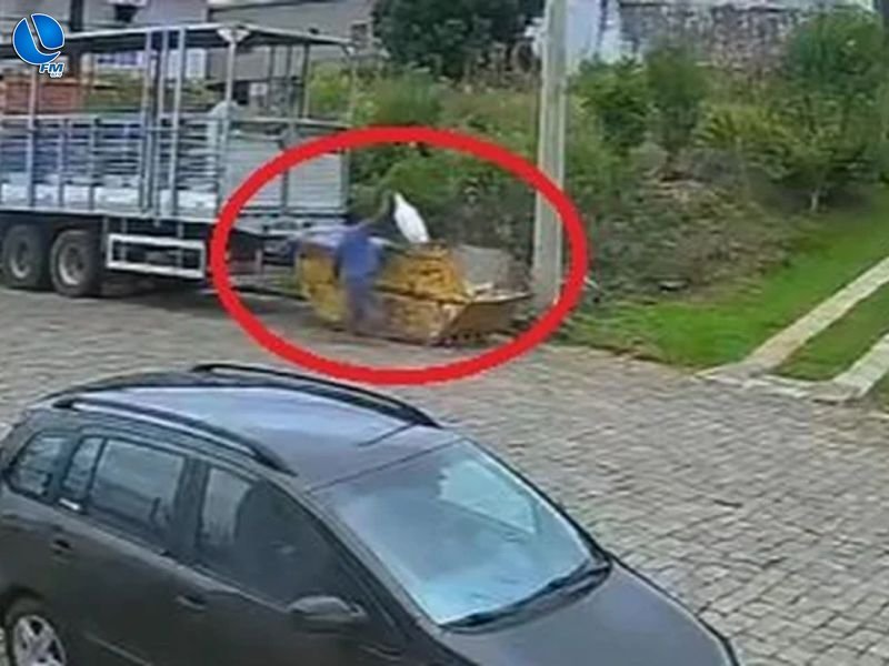 Polícia Civil investiga descarte de cão vivo em contêiner de lixo em Nova Prata