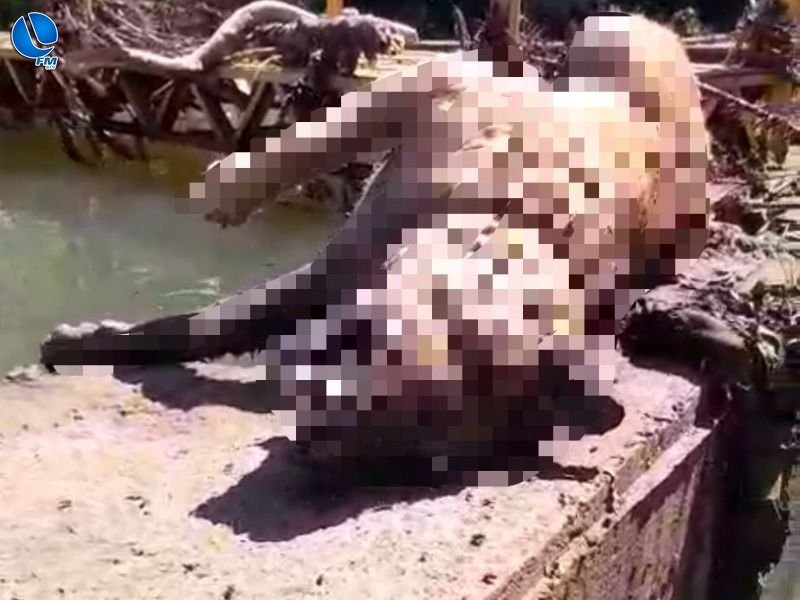 Cachorro em decomposição na barragem: Corsan publica nota