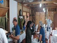 Imagem 18 da galeria