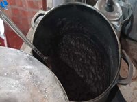 Imagem 16 da galeria