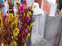 Imagem 15 da galeria